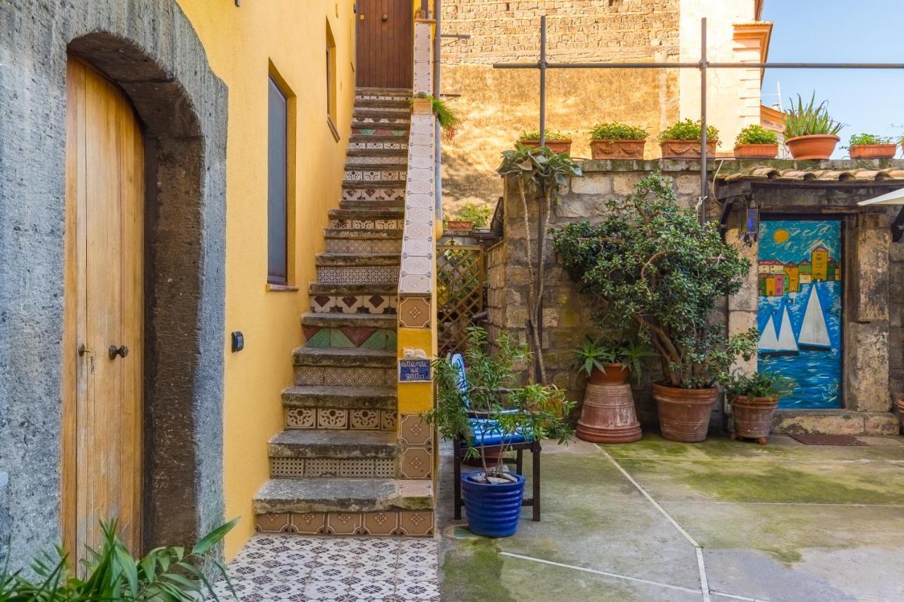 Orchid Corner Guesthouse Мета Екстериор снимка