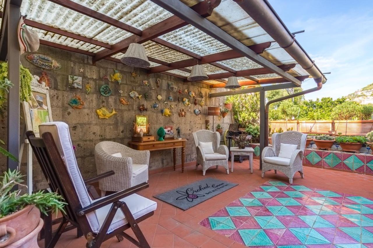 Orchid Corner Guesthouse Мета Екстериор снимка