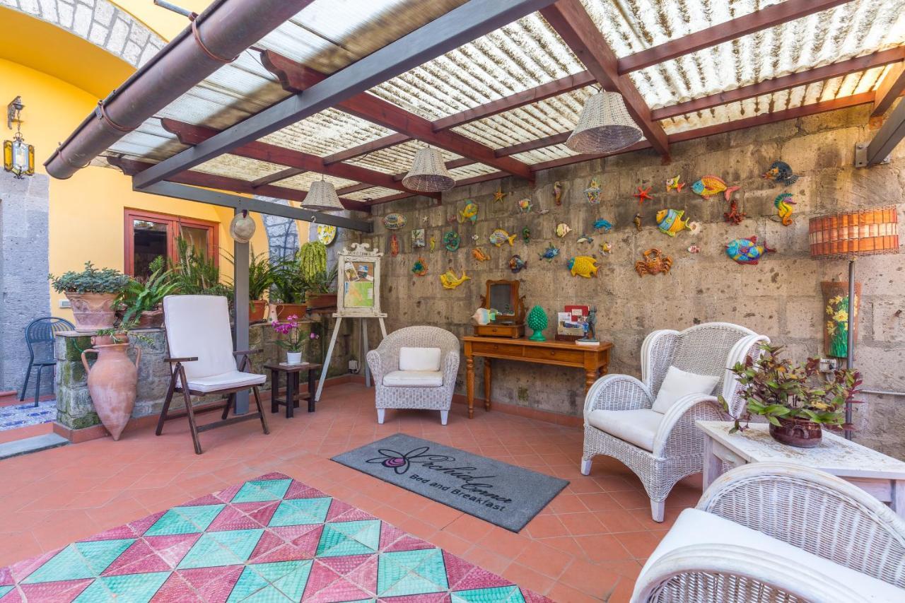 Orchid Corner Guesthouse Мета Екстериор снимка