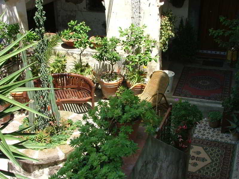 Orchid Corner Guesthouse Мета Екстериор снимка