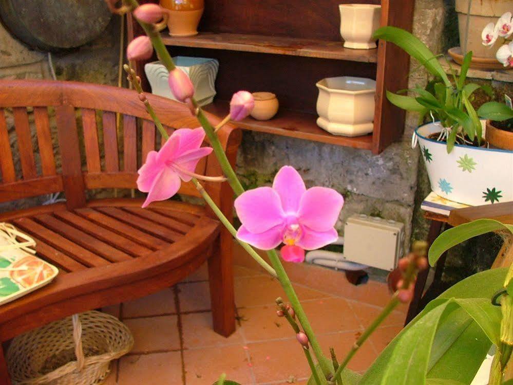 Orchid Corner Guesthouse Мета Екстериор снимка
